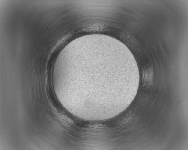 X0000058760396200510171205