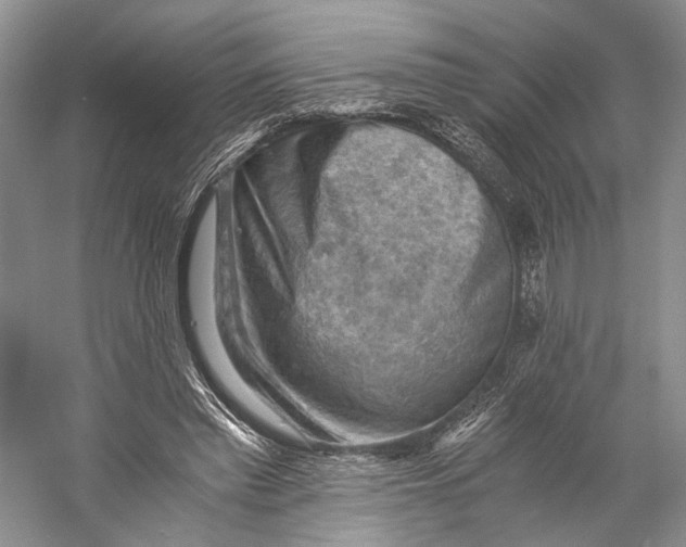 X0000058760397200510171205