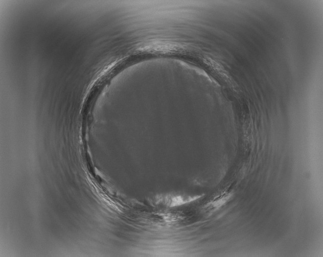X0000058760399200510171204