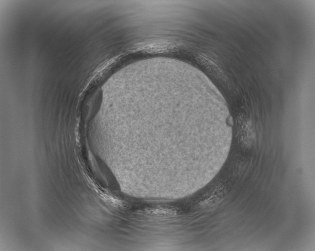 X0000058760400200510171204