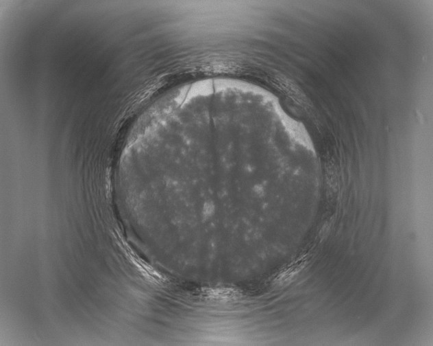 X0000058760401200510171204
