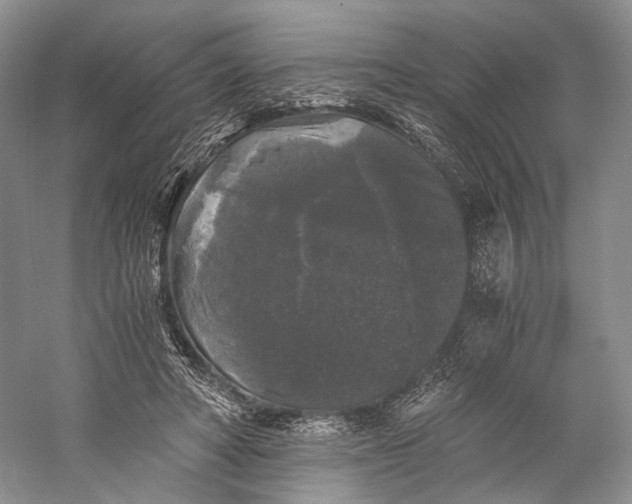 X0000058760402200510171204