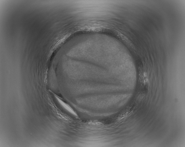 X0000058760403200510171204