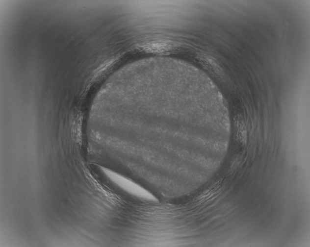X0000058760404200510171204