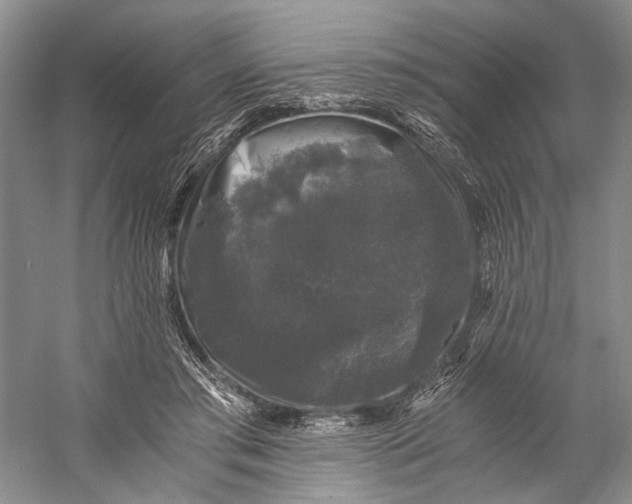 X0000058760405200510171204
