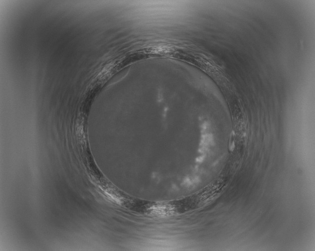 X0000058760415200510171204