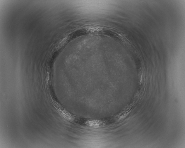 X0000058760417200510171204
