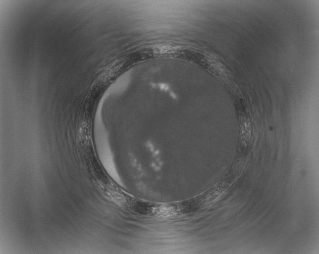 X0000058760419200510171204