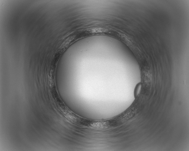 X0000058760422200510171204