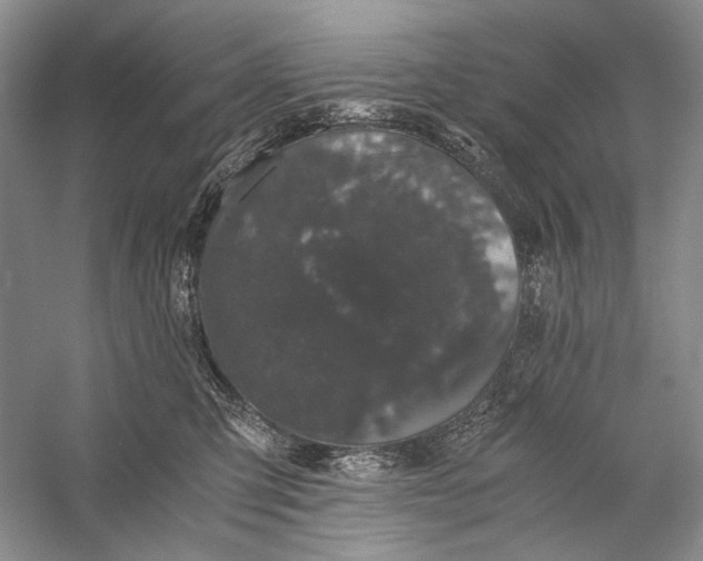 X0000058760423200510171204