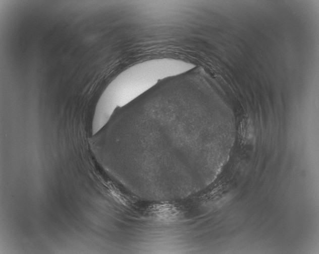 X0000058760424200510171204