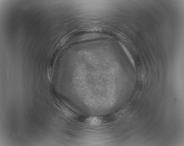 X0000058760425200510171204