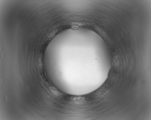 X0000058760426200510171204