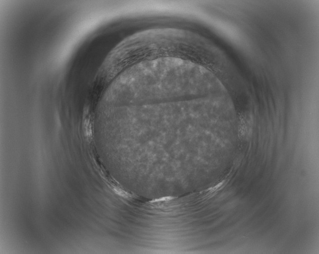X0000058760431200510171204
