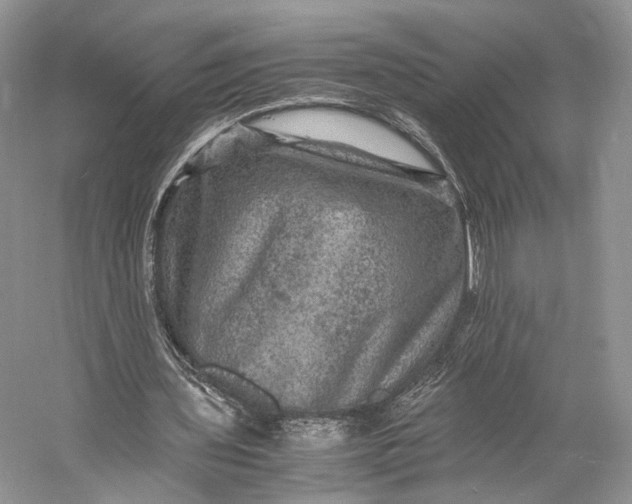 X0000058760435200510171203