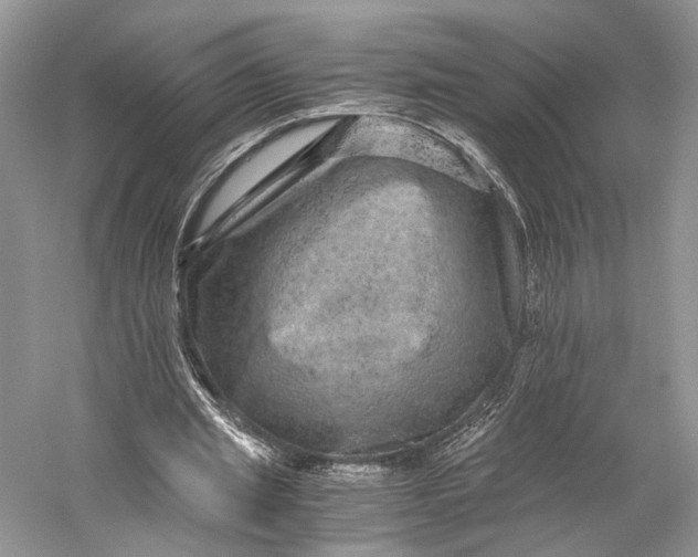 X0000058760437200510171203