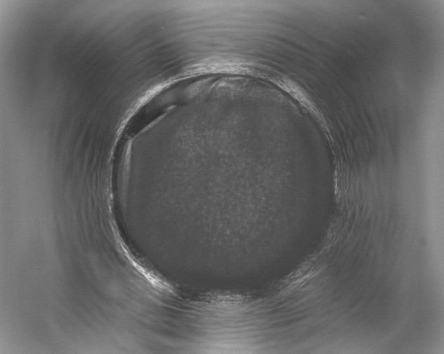 X0000058760438200510171203
