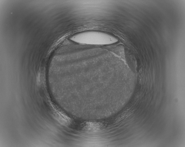 X0000058760442200510171203
