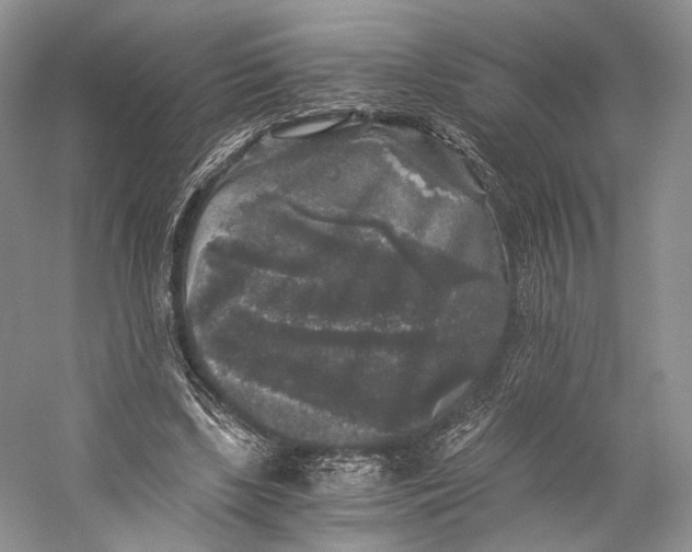 X0000058760443200510171203