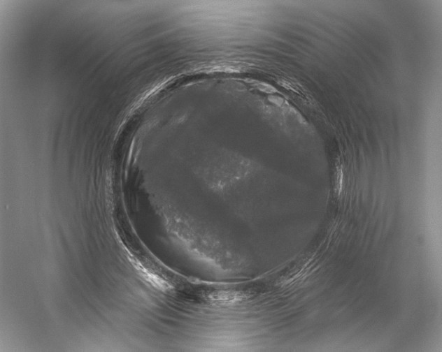 X0000058760444200510171203