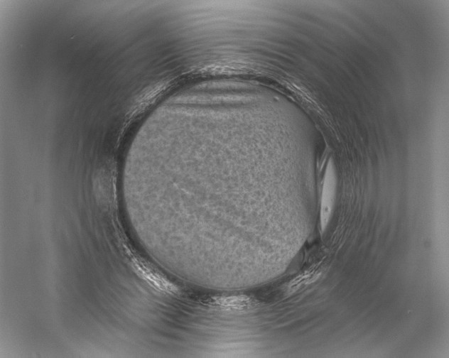 X0000058760446200510171203