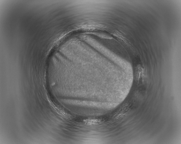 X0000058760448200510171203