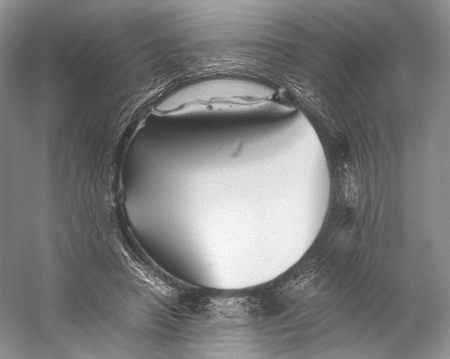 X0000058760450200510171203