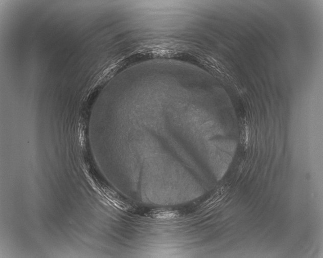 X0000058760456200510171203