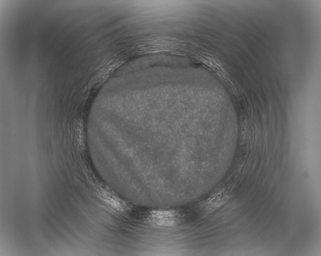 X0000058760457200510171203