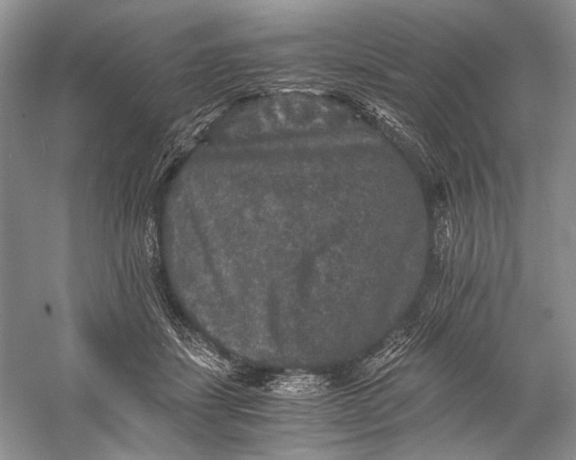 X0000058760459200510171204