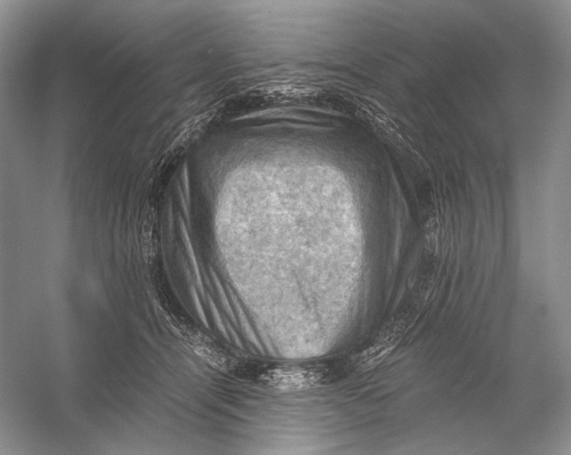 X0000058760464200510171204