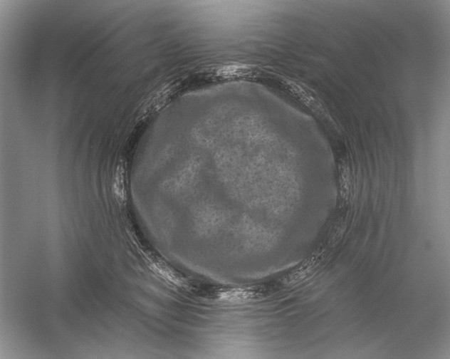 X0000058760470200510171204