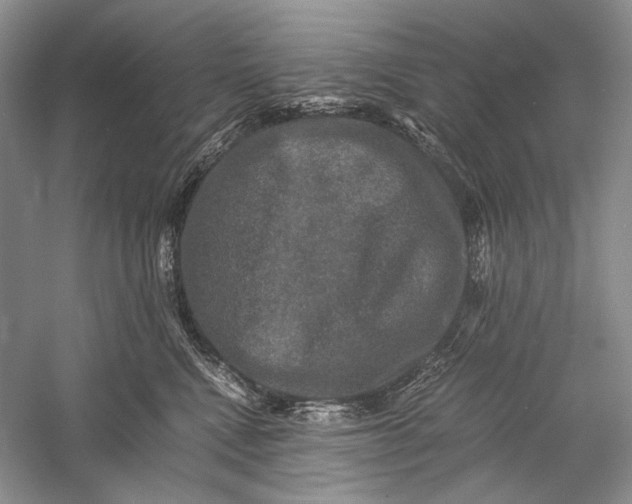 X0000058760472200510171204