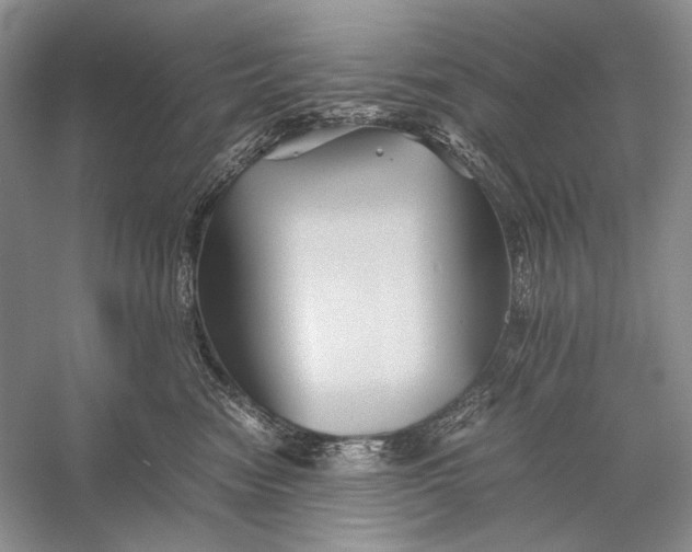 X0000058760474200510171204