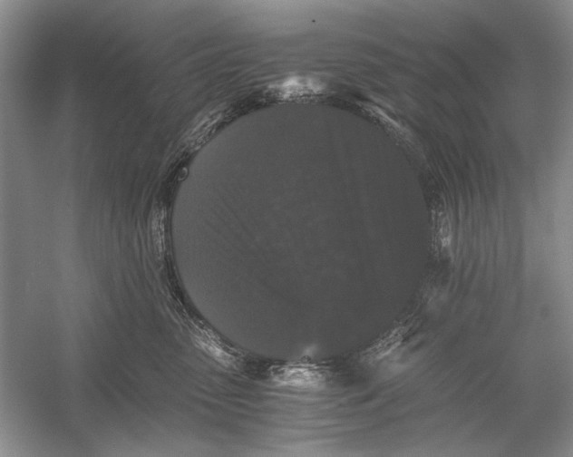 X0000058760475200510171204