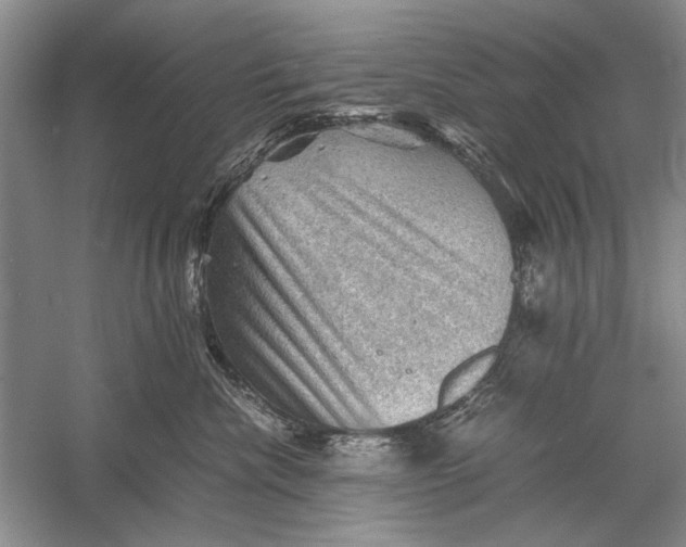 X0000058760476200510171204