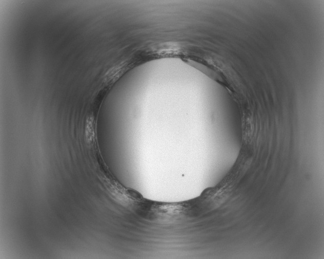 X0000058760478200510171204