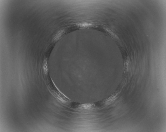 X0000058760479200510171204