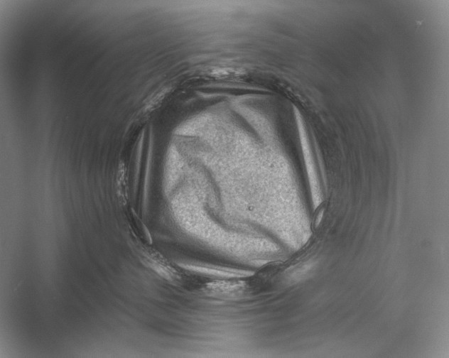 X0000058760480200510171204
