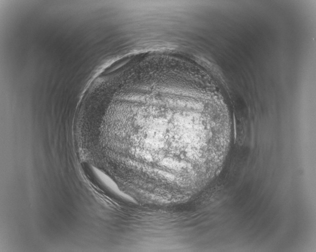 X0000058760483200510171203
