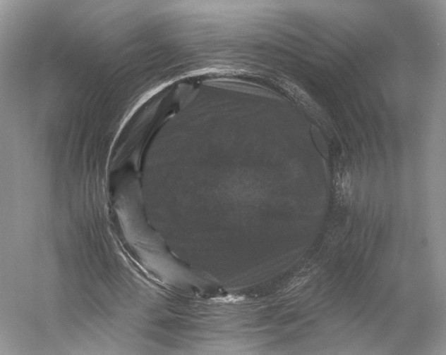X0000058760484200510171203