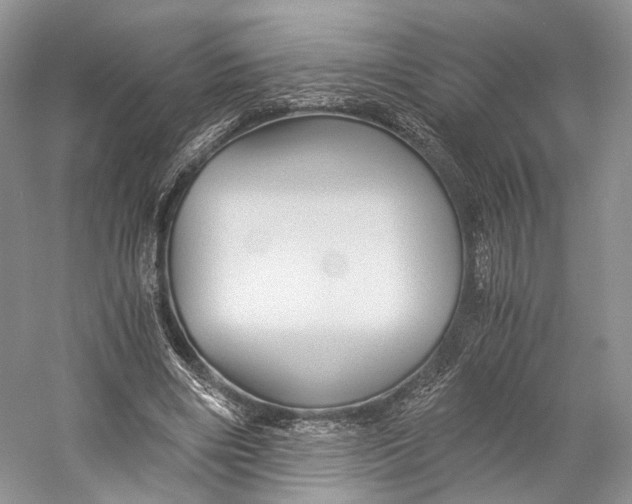 X0000058760490200510171203