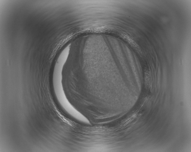X0000058760493200510171203