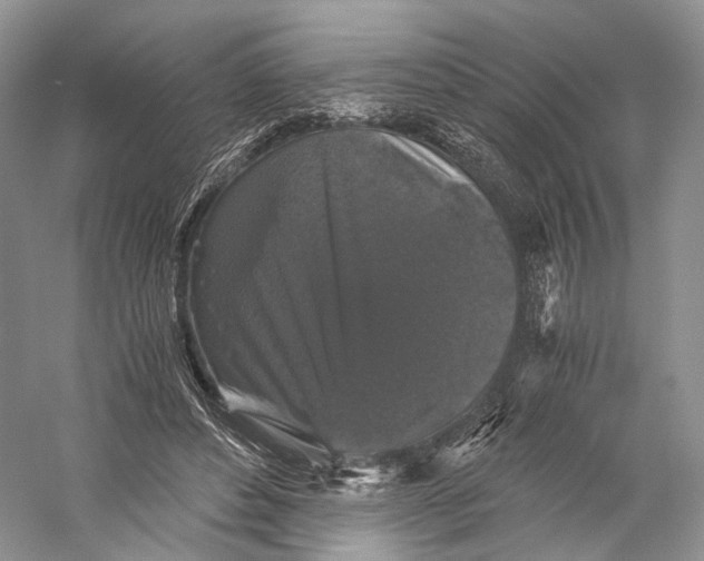 X0000058760496200510171203
