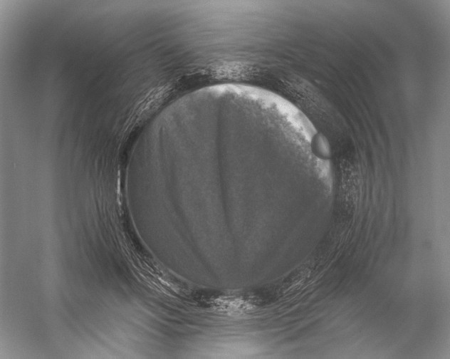 X0000058760502200510171203