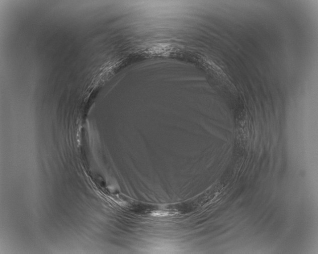 X0000058760504200510171203