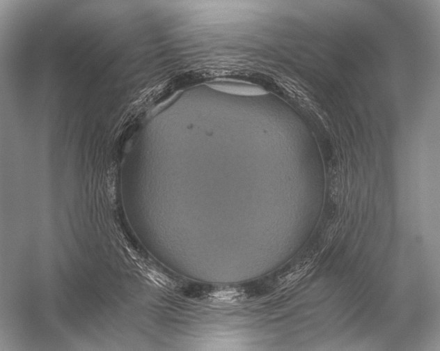 X0000058760505200510171203