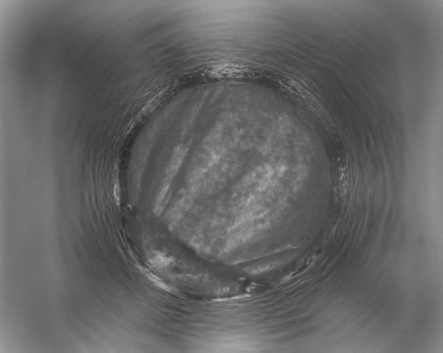 X0000058760508200510171203