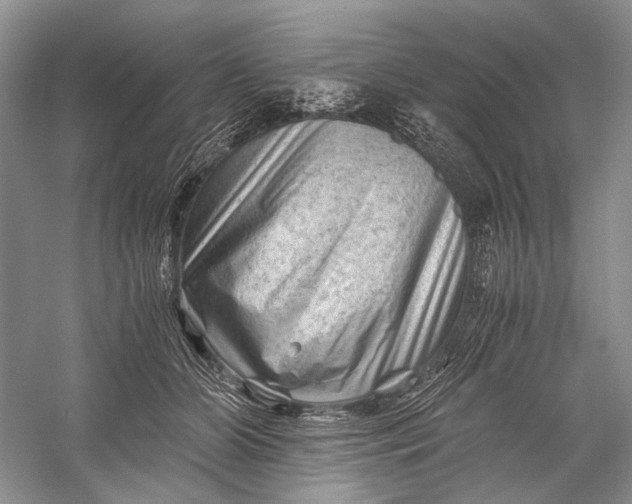 X0000058760510200510171203