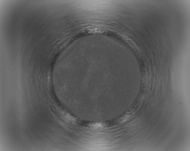 X0000058760513200510171202